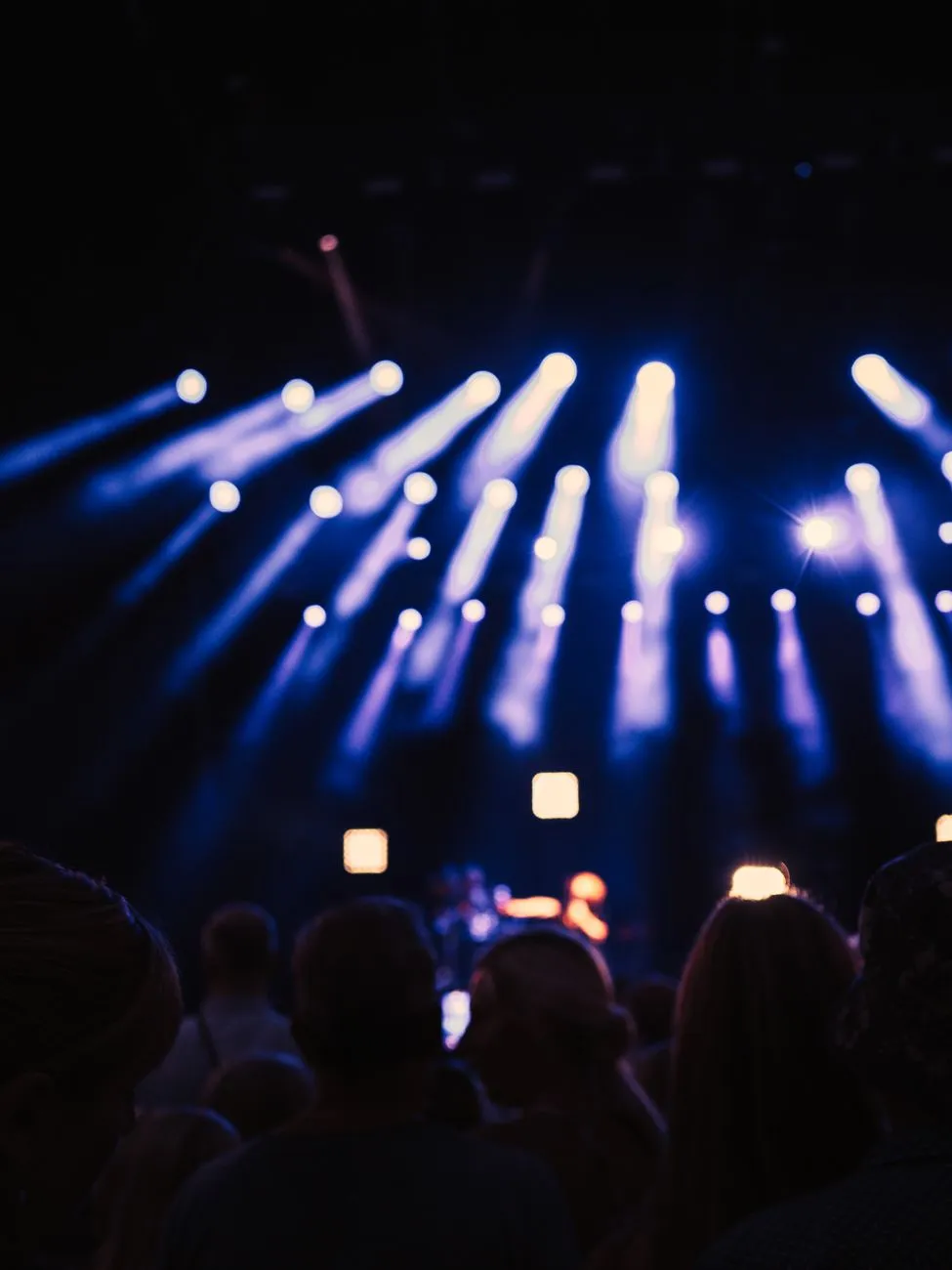 A lively concert scene captured at night with a crowd and dazzling stage lights